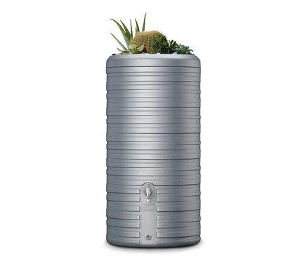 Graue Garantia 2-in-1 Regentonne Nordic mit Kakteen und Sukkulenten oben drauf.