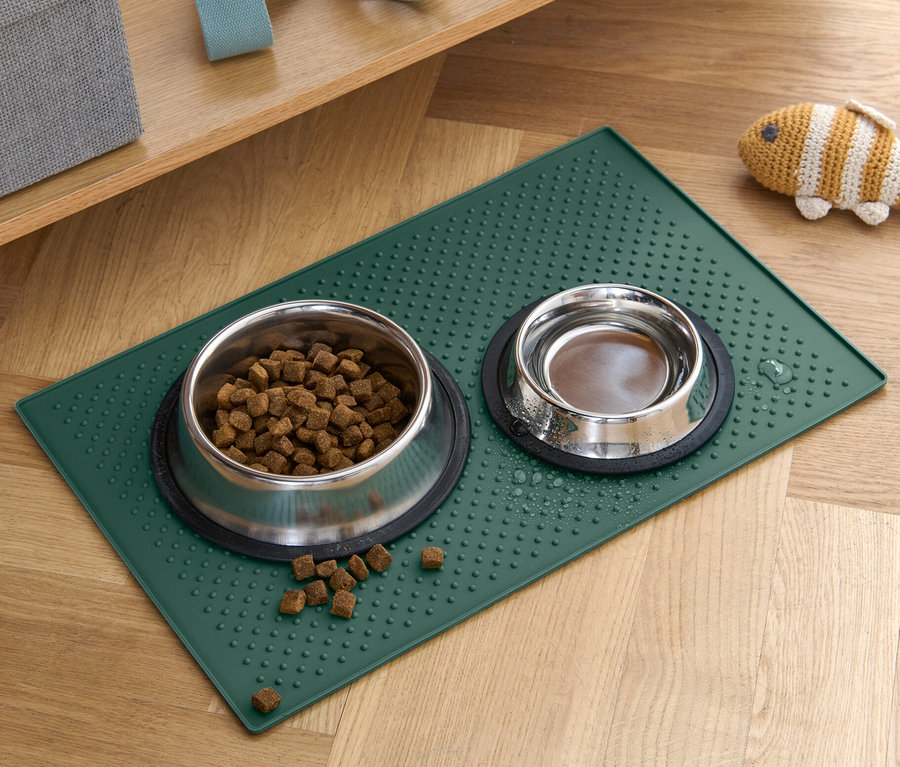 Zwei Tiernäpfe stehen auf einem grünen Futternapf-Untersetzer auf einem Holzboden.