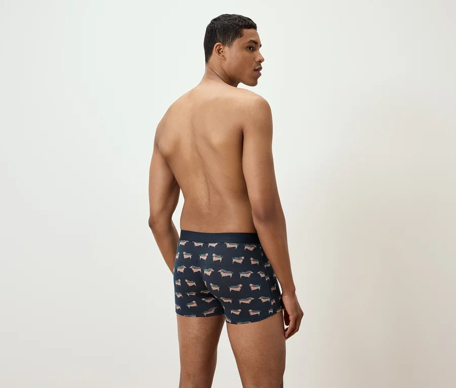 Ein Mann mit dem Rücken zur Kamera trägt Boxershorts mit Dackel-Print.