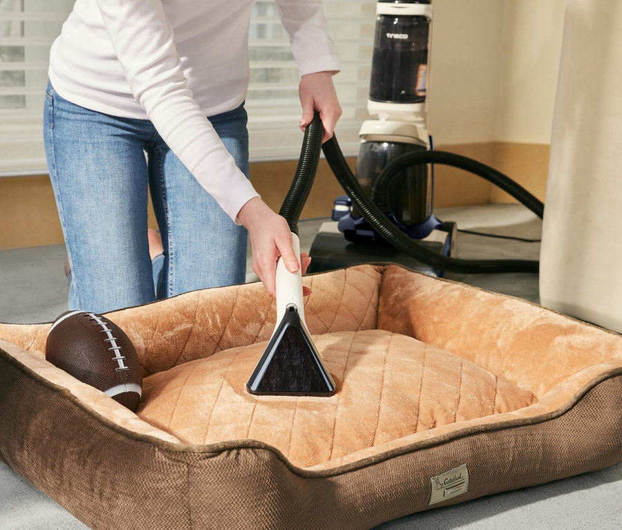 Frau reinigt ein Hundebett mit einem Tineco Teppichreiniger iCarpet. Im Hundebett liegt ein brauner Football.