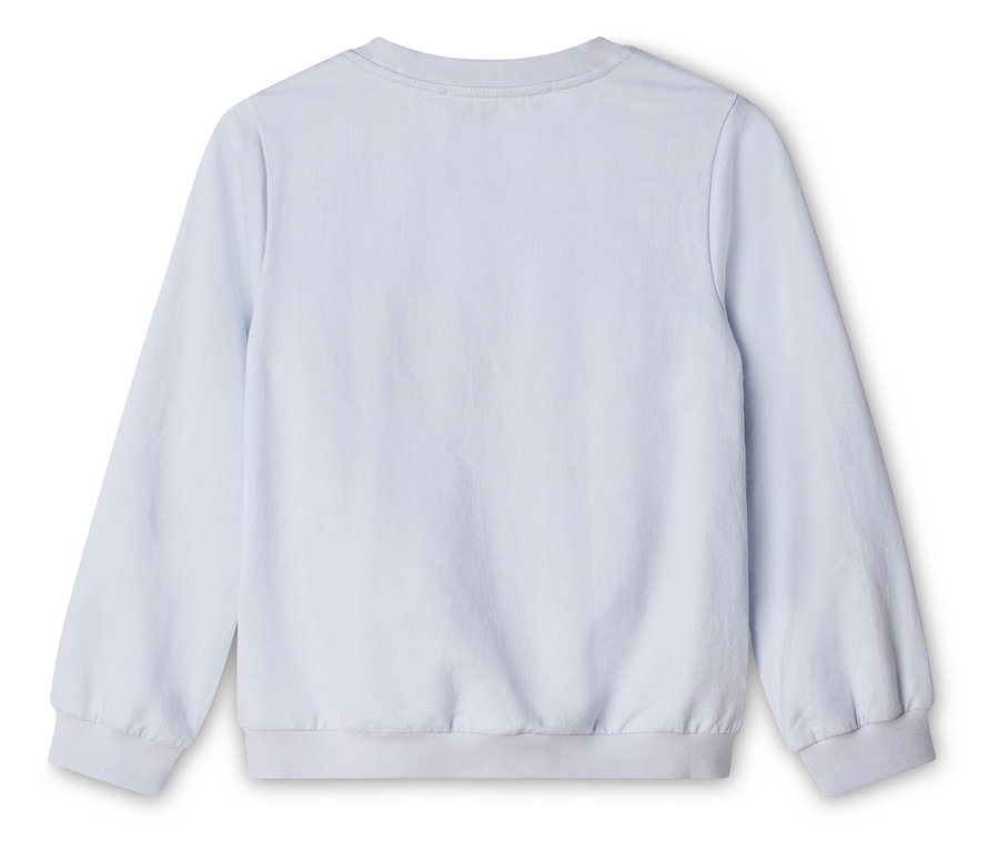 Hellblaues, langärmliges Sweatshirt, von hinten fotografiert.