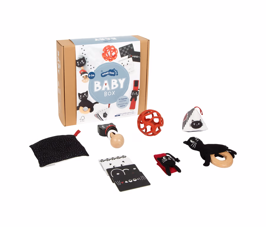 Eine small foot Baby-Box für 0–3 Monate, umgeben von verschiedenen Spielzeugen wie einer Rassel, einem Beißring, Karten und Stofftieren, auf weißem Hintergrund.