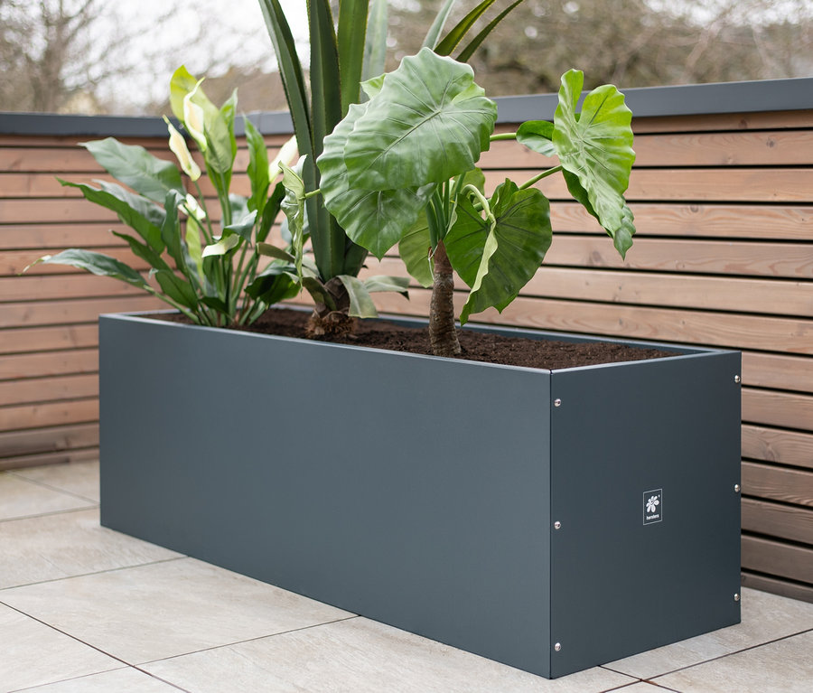 Herstera Garden Pflanzkasten, ca. 50 x 50 x 150 cm, anthrazit bei Tchibo  kaufen | 147094