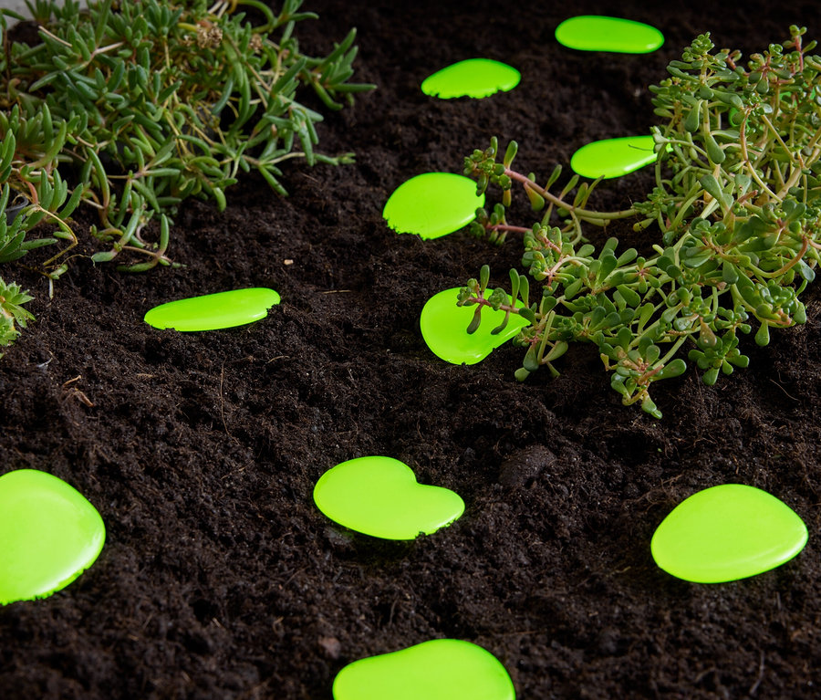 Grüne Leuchtkieselsteine liegen auf Erde neben Pflanzen.
