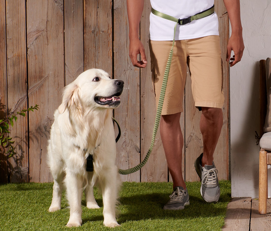Mann führt Hund an der Längenverstellbaren Hundeleine.