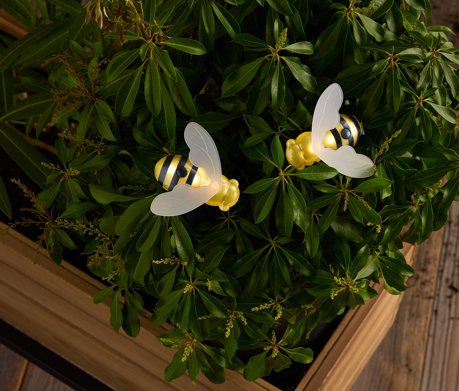 Zwei gelbe und schwarz gestreifte Bienen mit durchscheinenden Flügeln inmitten von grünen Blättern in einem Holzkasten.