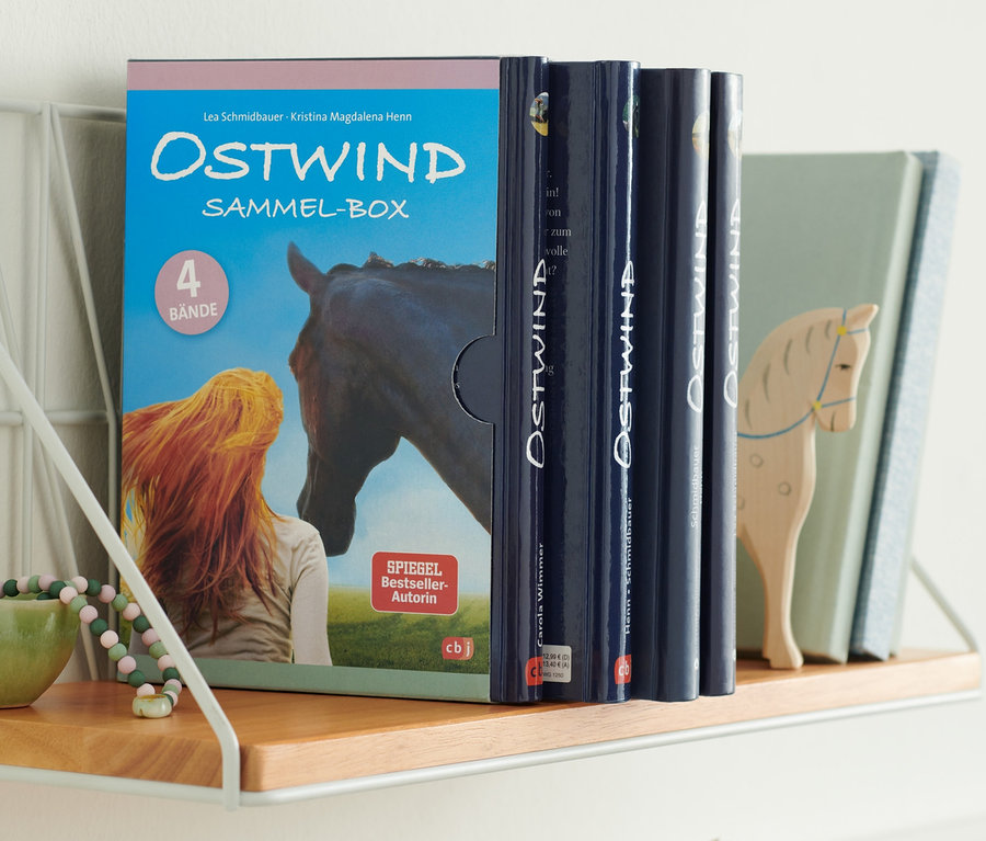 Auf einem Regal steht die Bücherbox »Ostwind«.