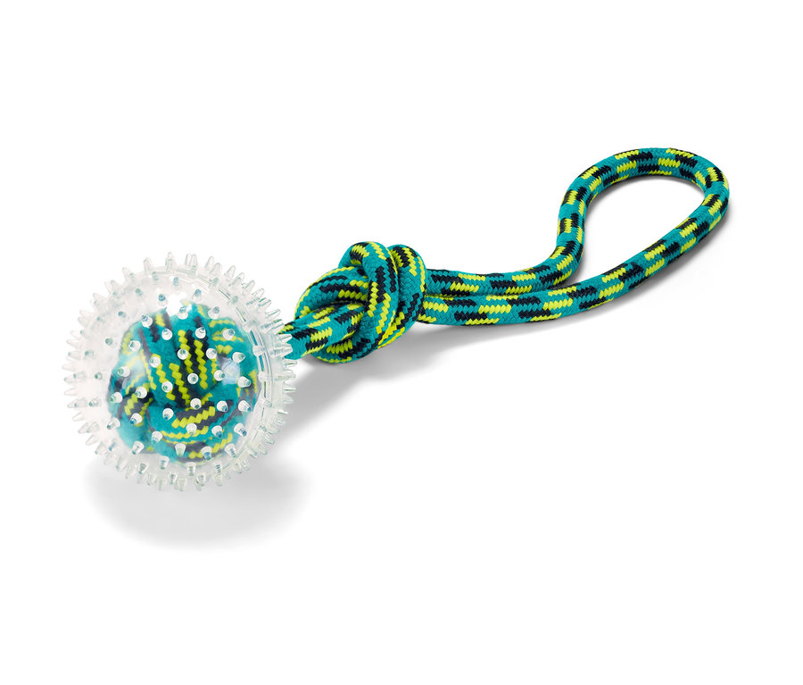 Hunde-Wurfspielzeug mit transparentem Ball und blau-grünem Seilgriff.