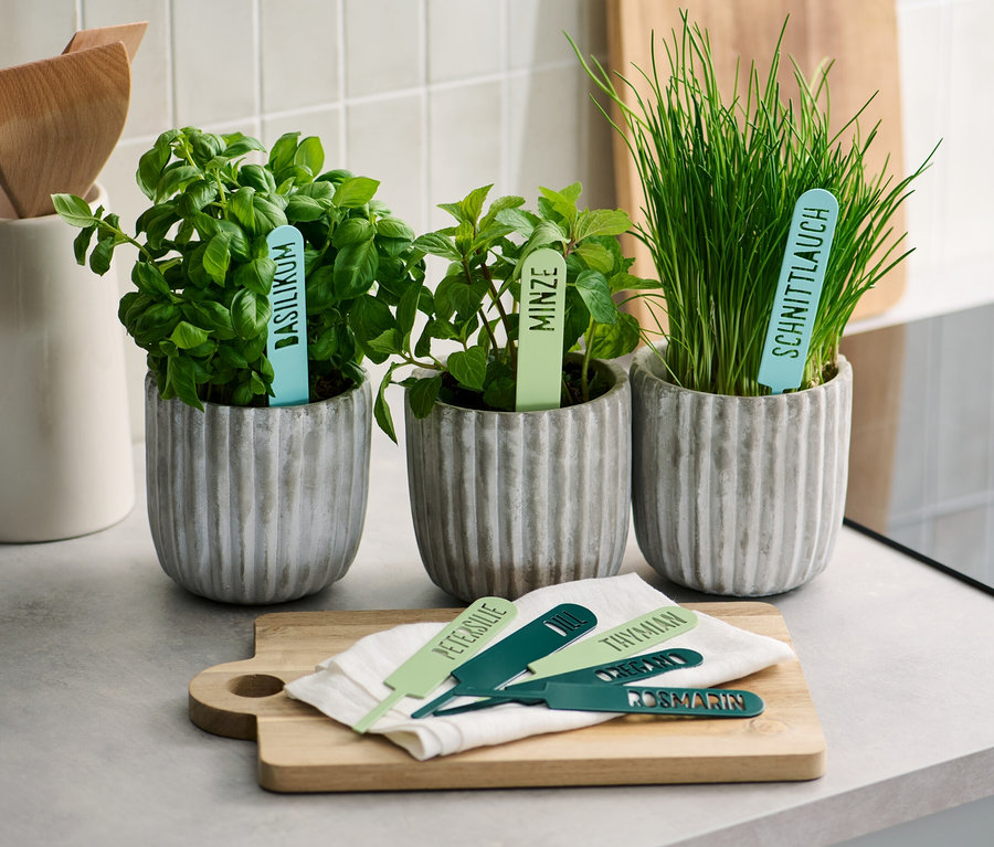 Drei Töpfe mit Basilikum, Minze und Schnittlauch stehen auf einer Küchentheke nebeneinander. Davor liegen 8 Kräuterschilder auf einem Brettchen.