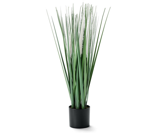 Kunstpflanze »Gräser und Pampas« im Topf.
