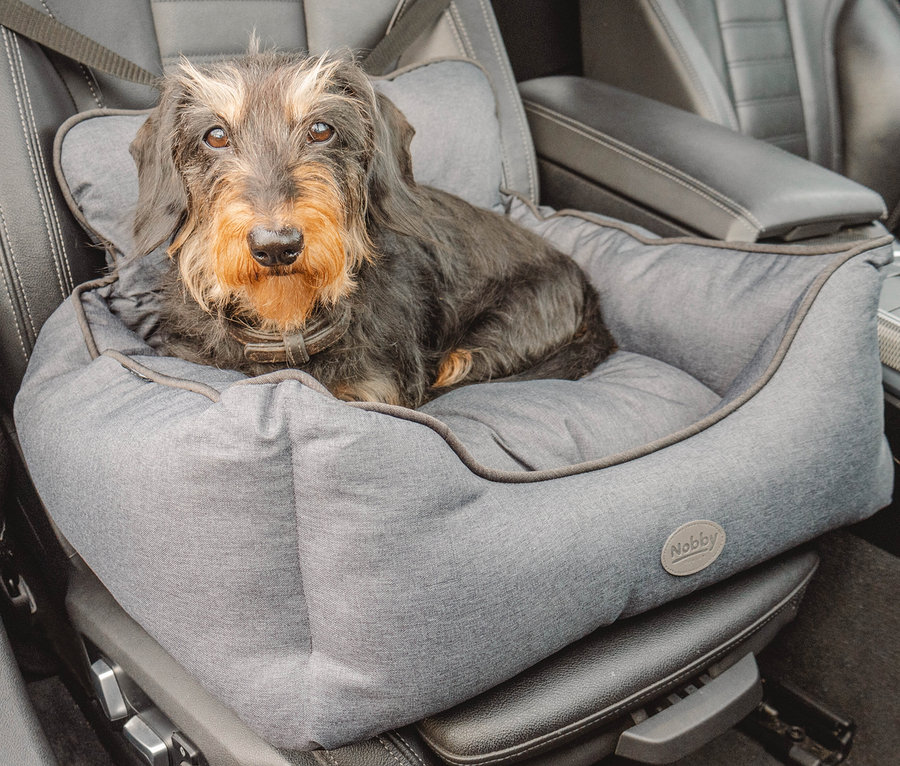 Ein brauner Dackel sitzt in einem grauen Hunde-Autositz »KADEK« auf dem Beifahrersitz.