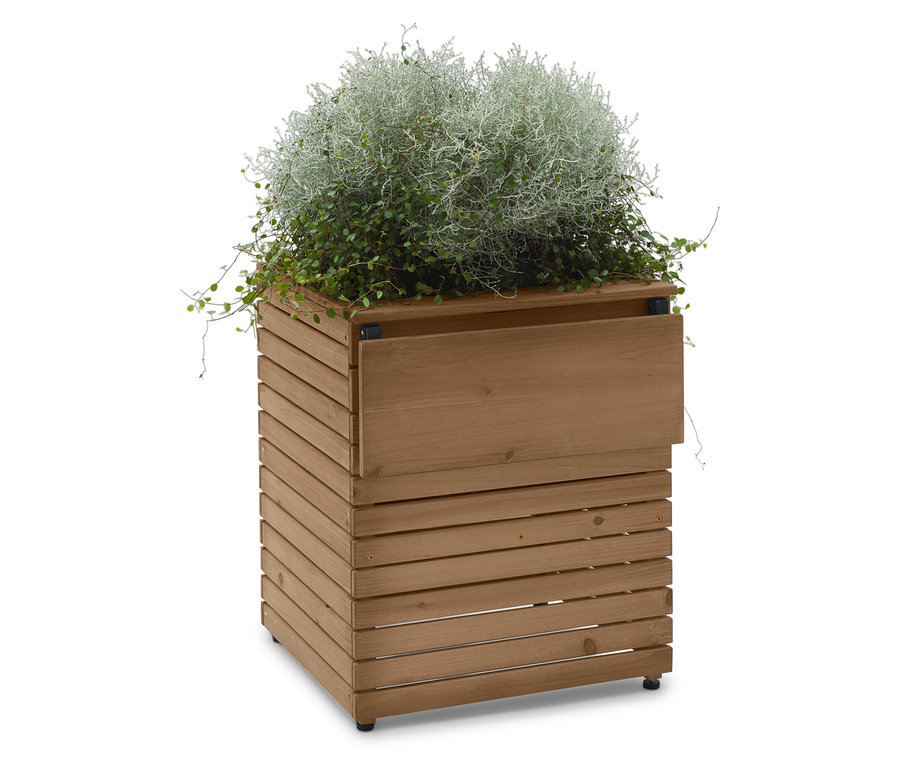 Holzkübel mit silbernem und grünem Bewuchs auf weißem Hintergrund.