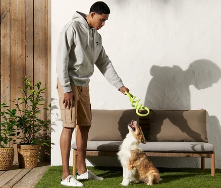 Mann spielt mit Hund mit Hunde-Zerrspielzeug auf Rasen.