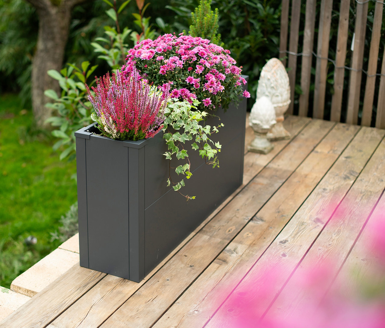 Ein anthrazitfarbener Pflanzkasten mit Einlegeboden, ca. 52 cm hoch, gefüllt mit rosa Blüten, rotem Heidekraut und Efeu, steht auf einer Holzterrasse. Im Hintergrund sind grüner Rasen und ein Holzzaun zu sehen.