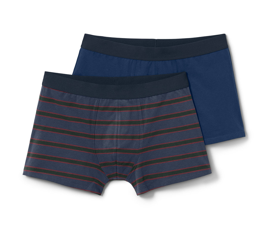 Zwei Slipboxer, eine blau und eine blau mit braunen und grünen Streifen.