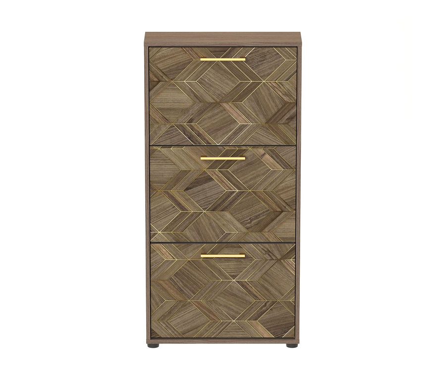 Brauner Schuhschrank »Glenn« mit geometrischem Holzdekor und goldenen Akzenten, ausgestattet mit 3 Klappen und goldenen Griffen.
