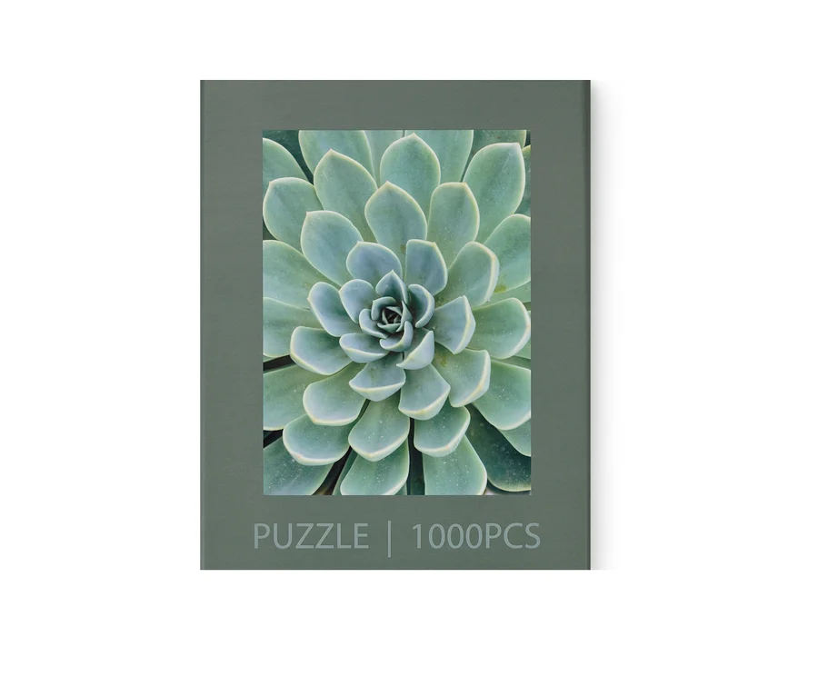 Packung des Puzzles »Sukkulente«.