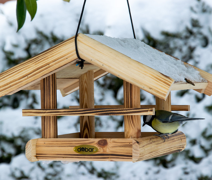 Eine Blaumeise sitzt auf der Stange des Vogelfutterhauses »Quemado«, das mit Schnee bedeckt ist.