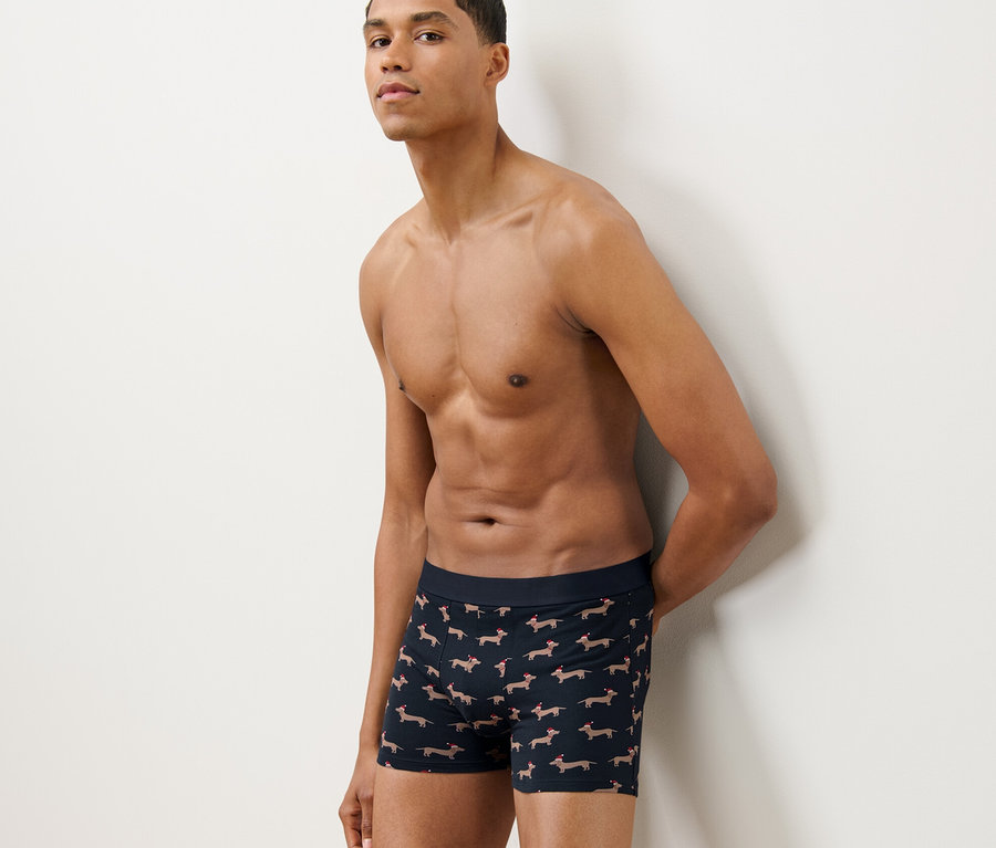 Mann posiert in 2 Slipboxer, Dackel.