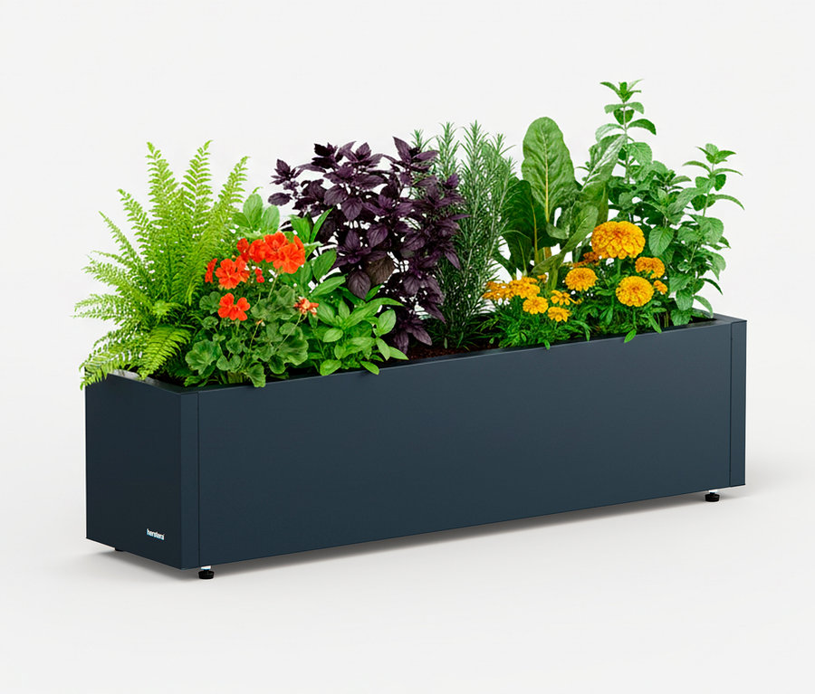 Herstera Pflanzkasten, Breite ca. 100 cm, bepflanzt mit Blumen und Kräutern.