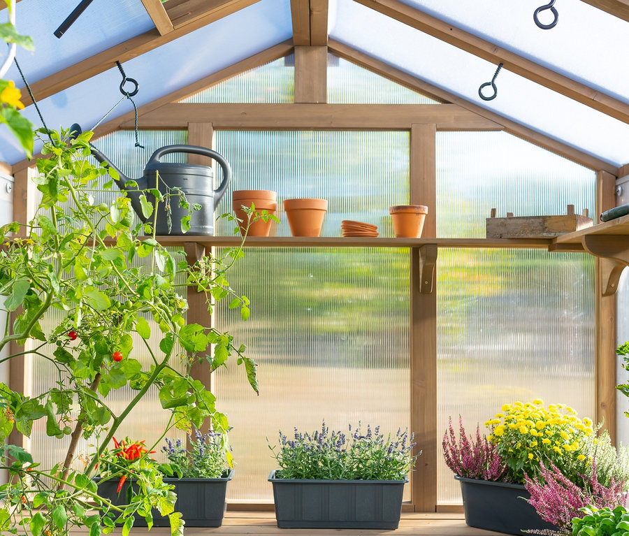 Innenansicht eines Gewächshauses aus Zedernholz mit Pflanzen, Topfblumen, einer Gießkanne und Regalen.