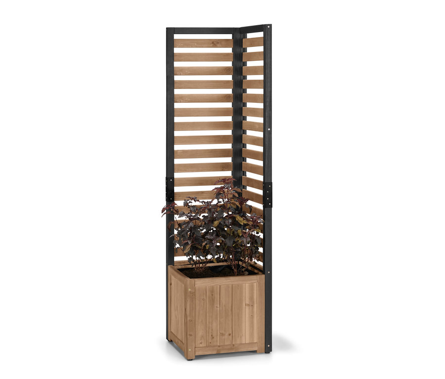 Ein Eck-Sichtschutz-Pflanzkasten-Modul »Elin« mit rotbraunen Blättern.