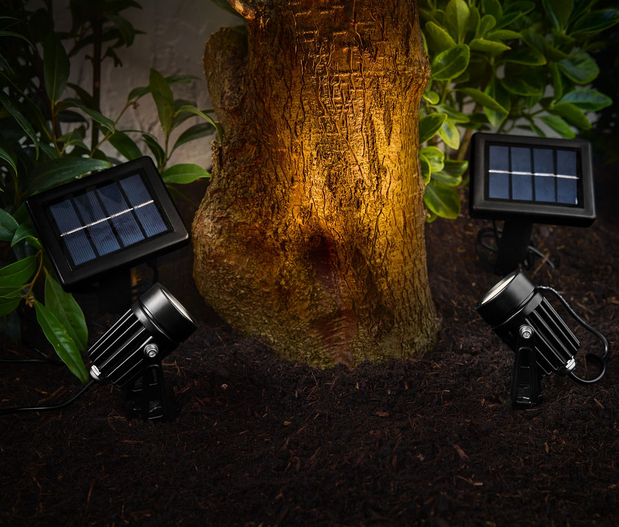 Zwei Solar-Spots beleuchten einen Baumstamm im Garten.