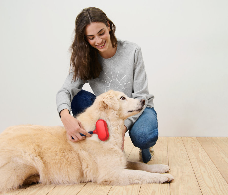 Frau bürstet einen liegenden Hund mit einer roten Bürste.