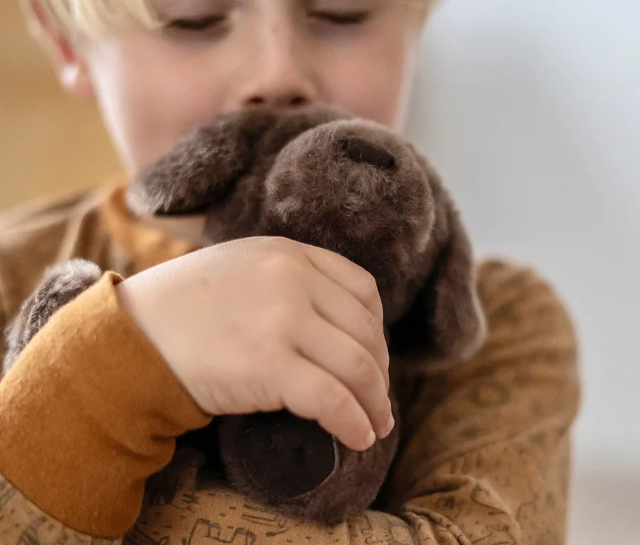 Junge umarmt braunen Plüschhund von small foot Hund mit Tasche und Pflege-Set.