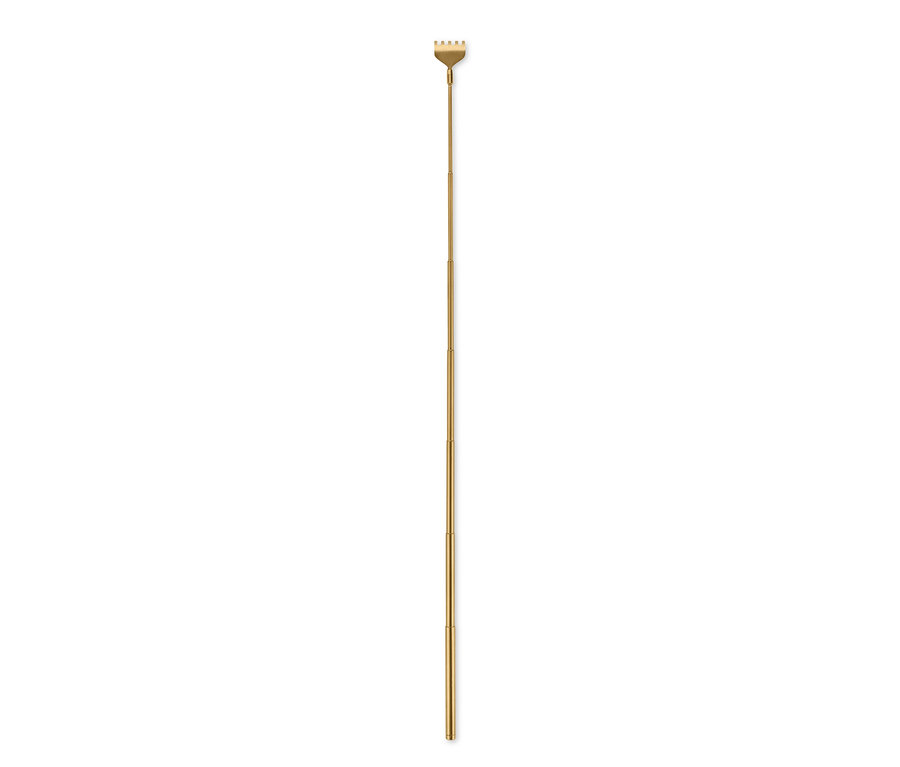 Ein goldener Rücken-Kratzer.