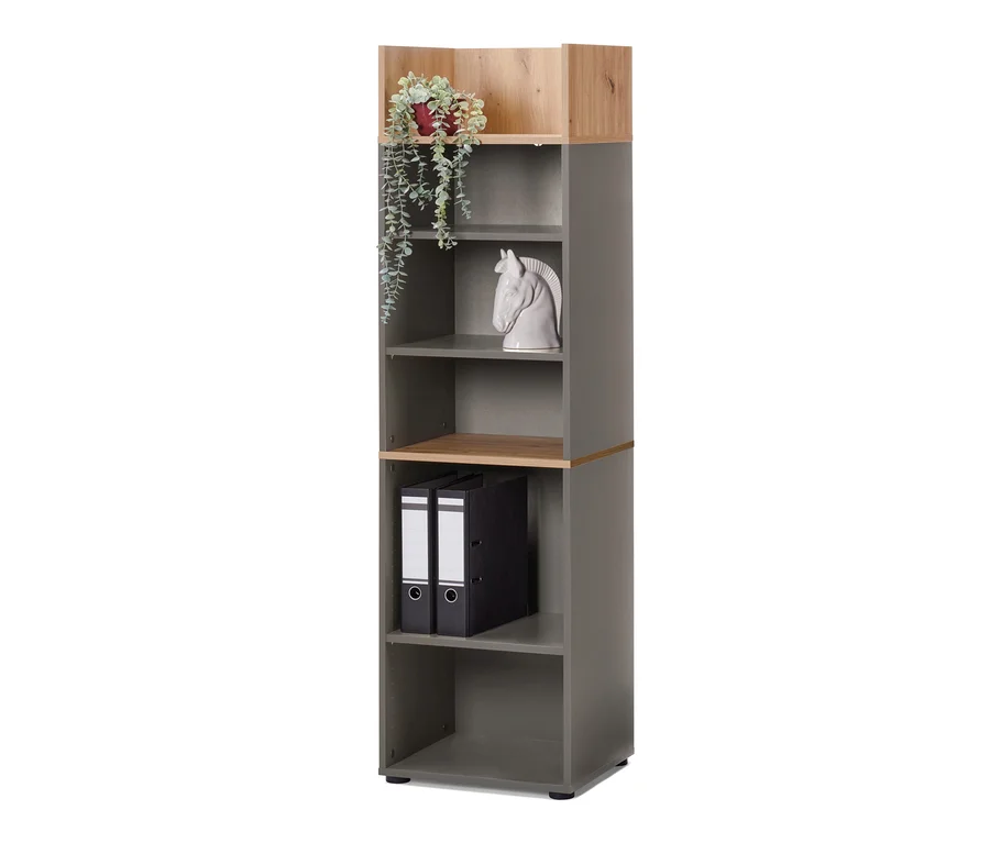 Offener Büroschrank mit Pflanze, Schachfigur und zwei Ordnern.