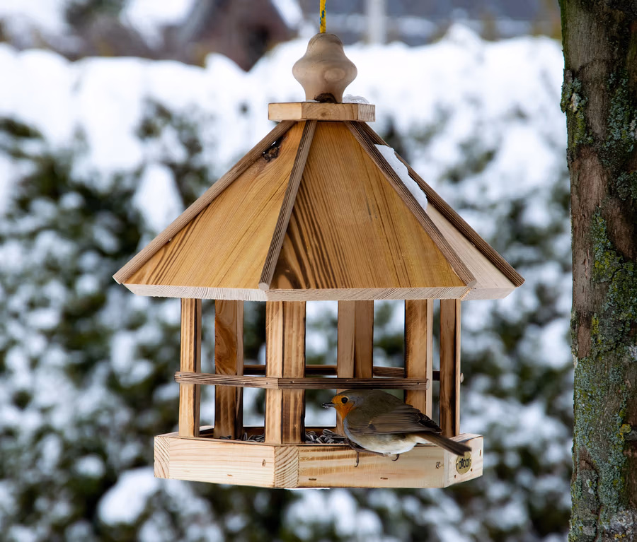 Rotkehlchen sitzt im hölzernen Vogelfutterhaus »Caliente«, das an einem Baum hängt.