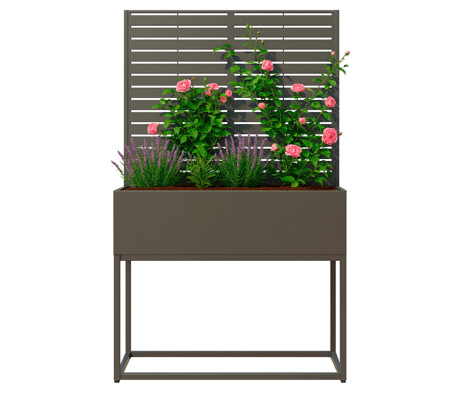 Blumenkasten mit Rosen und Lavendel vor einem Lattenzaun.