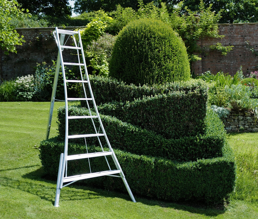 Eine silberne Leiter steht neben einem grünen Busch in einem Garten. Im Hintergrund ist der Niwaki-3-Holm-Gartenleiter »GSCS-270« zu sehen.