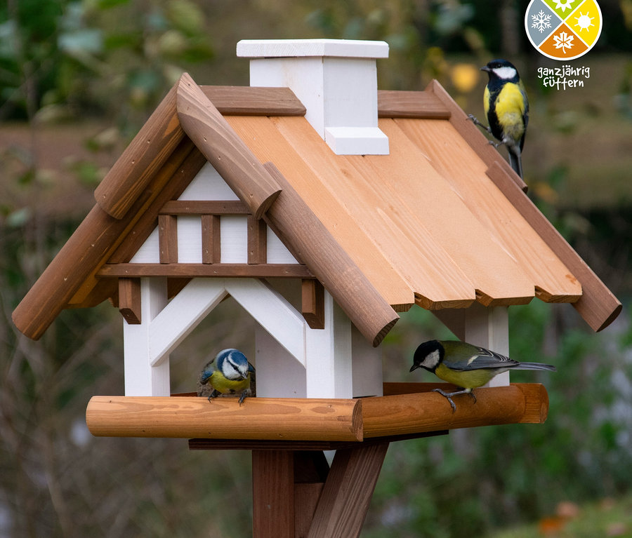 Blaumeise sitzt auf Vogelhaus „Goldener Oktober“ inkl. Ständer.