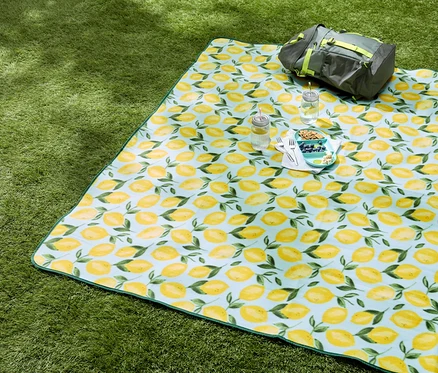Picknickdecke mit Zitronenmuster liegt auf grünem Gras, darauf stehen Getränke, Snacks und eine graue Tasche.