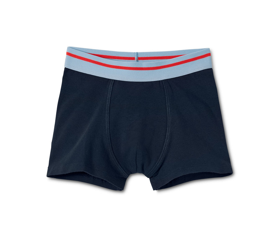Dunkelblaue 3 Slipboxer mit blau-rotem Bund.