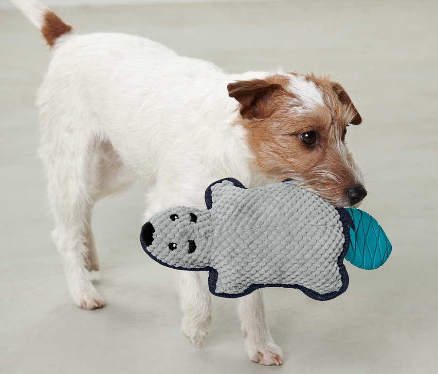 Hund hält Hunde-Plüschspielzeug »Biber« im Maul.