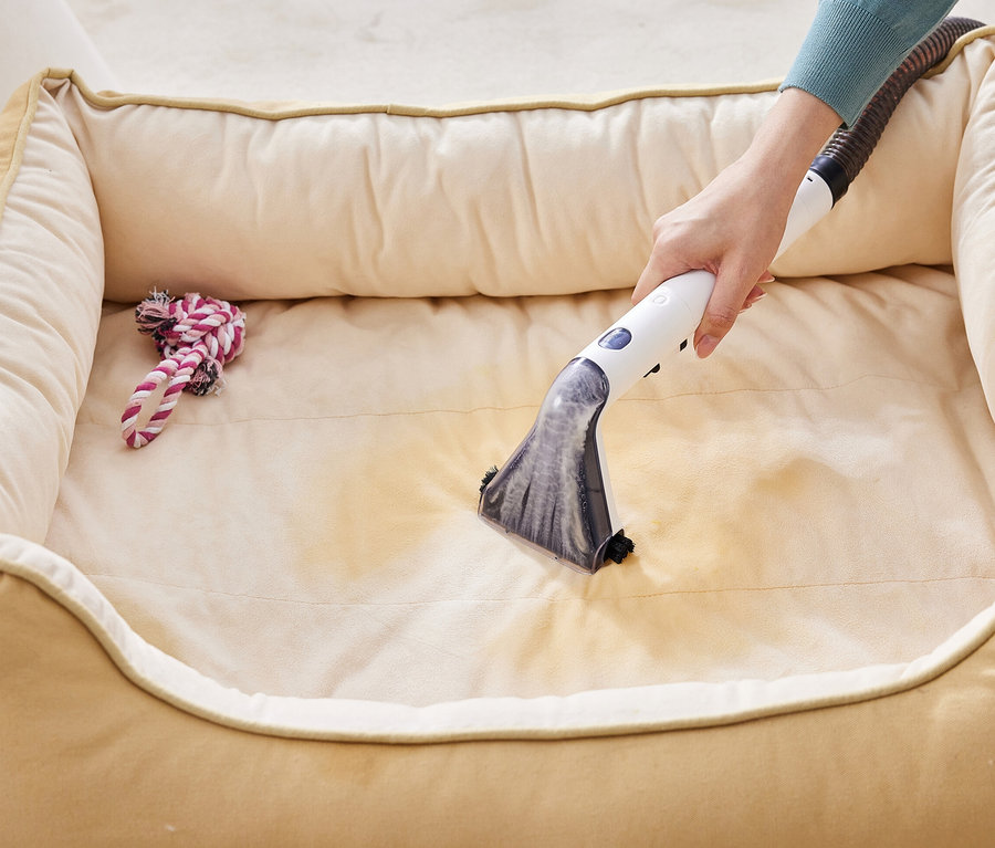 Eine Hand reinigt mit einem Tineco i Carpet Spot ein beiges Tierbett, links liegt ein Spielzeug.