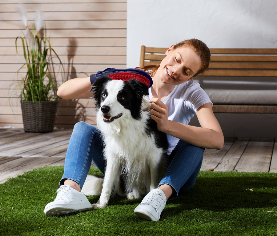 Frau sitzt auf Gras und bürstet einen schwarz-weißen Hund.