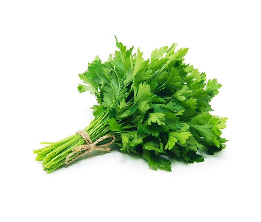 Ein Bund glatte Petersilie, 8 Kräuterklassiker, mit einer Schnur zusammengebunden, liegt auf einem weißen Hintergrund.