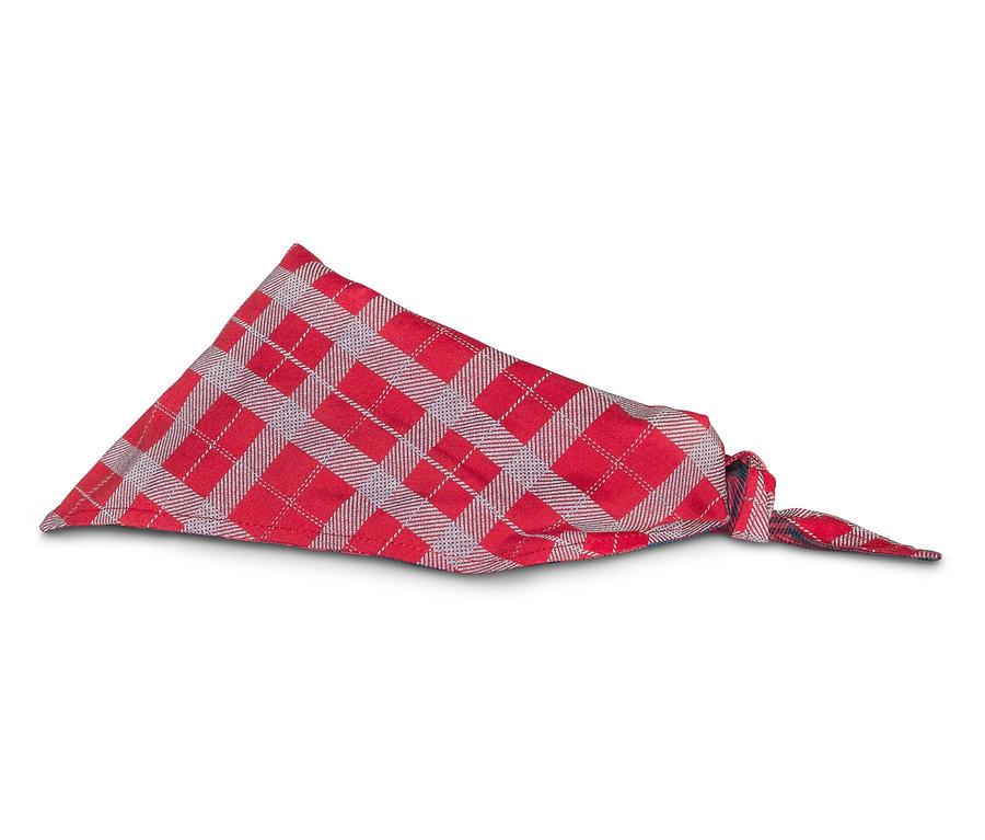 Ein rot-kariertes Bandana auf einem weißen Hintergrund.