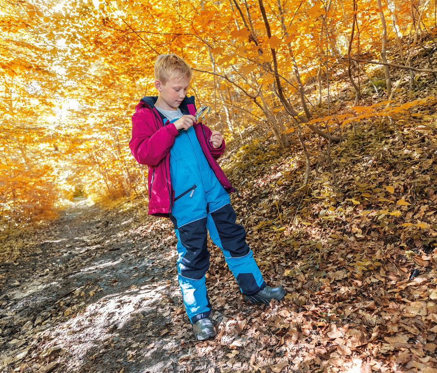 Junge mit roter Jacke und blauer Hose steht auf einem Weg im herbstlichen Wald und betrachtet ein Blatt.