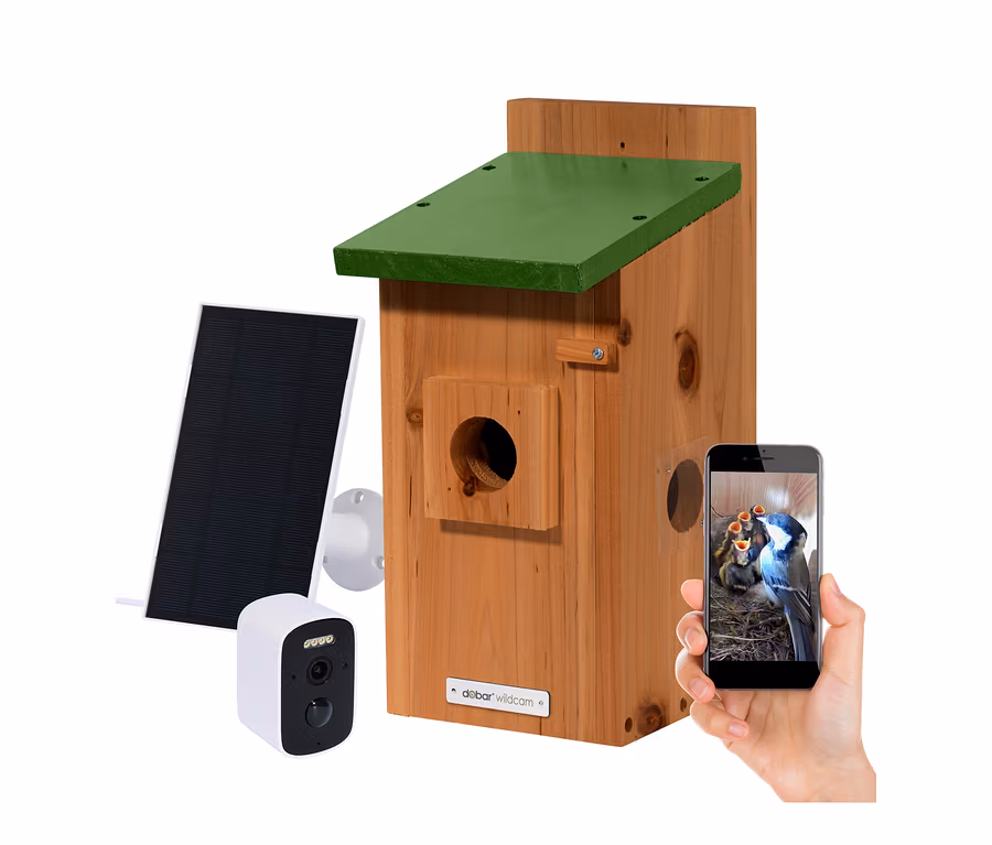 Holzvogelhaus mit grünem Dach, weißer Kamera, Solarpanel und einer Hand, die ein Smartphone mit einer Live-Aufnahme von Vogelküken im Nest hält.