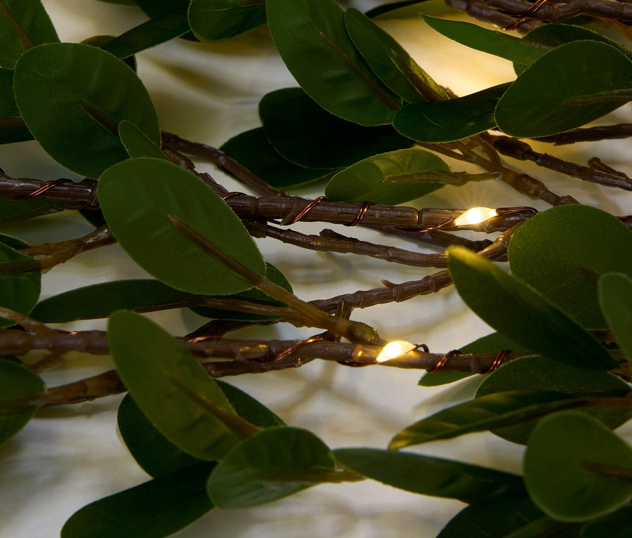 Nahaufnahme von Stängeln mit Blättern und LED-Lichtern im Hintergrund.