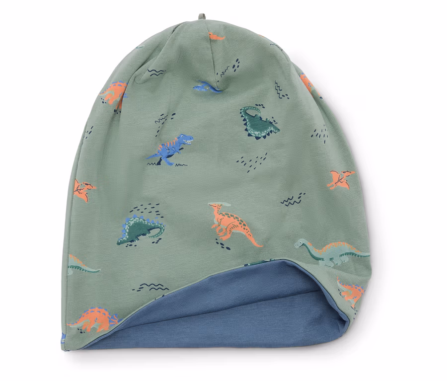 Hellgrüne Mütze mit Dinosaurier-Muster und blauem Futter.