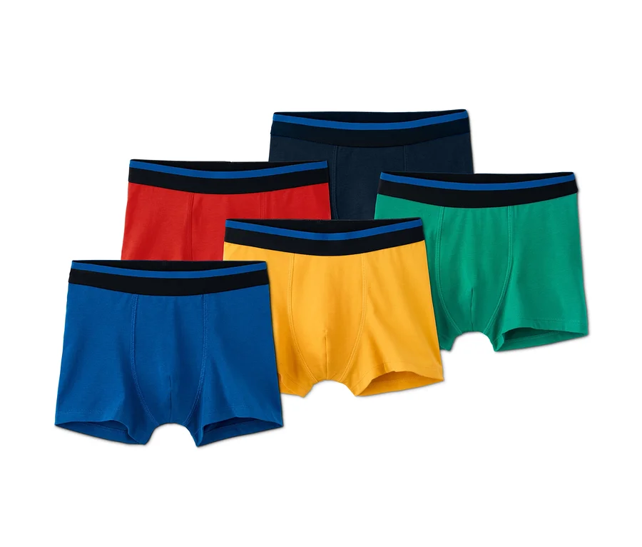 Fünf Slipboxer in Blau, Rot, Gelb, Grün und Dunkelblau.