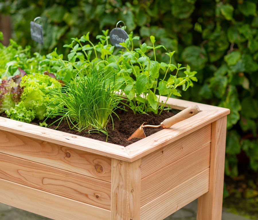 Gemüse und Kräuter wachsen in einem Stelzenhochbeet, im Vordergrund liegt eine kleine Gartenschaufel.