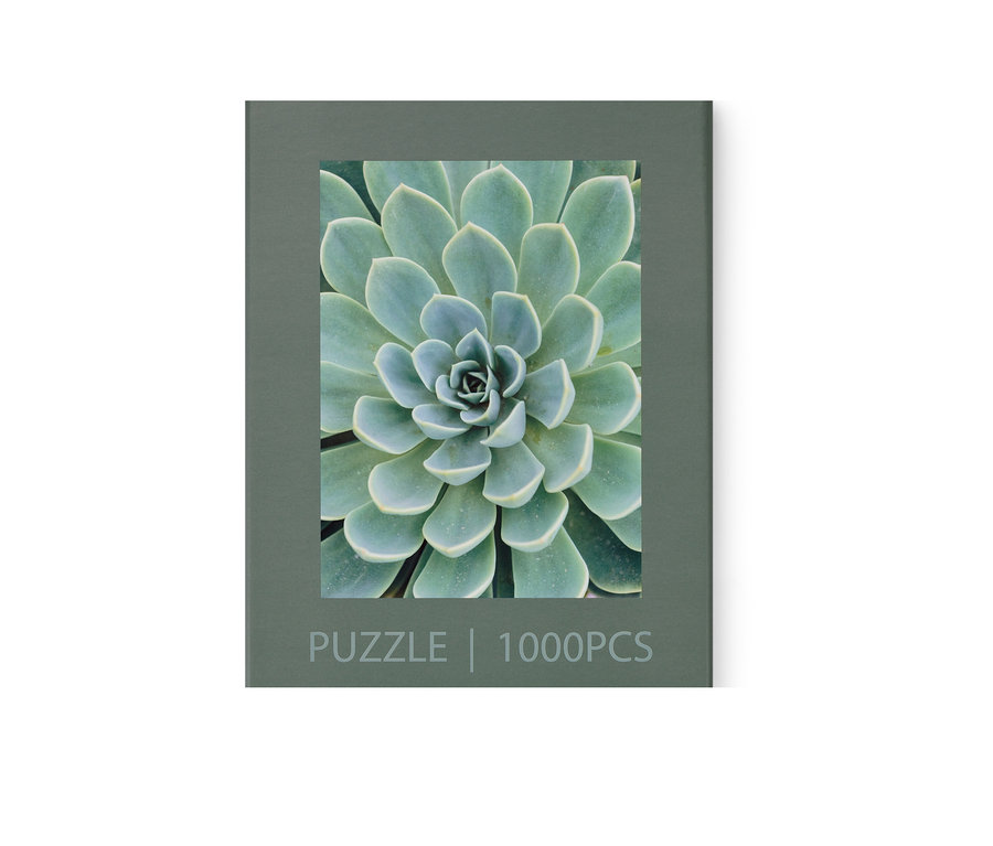 Packung des Puzzles »Sukkulente«.