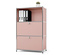 Ein rosa Schrank mit silbernem Rahmen. Im obersten Regal befinden sich Ordner und eine Topfpflanze.